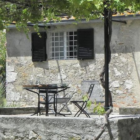 Vignagrande Agriturismo Saturnia Ngoại thất bức ảnh